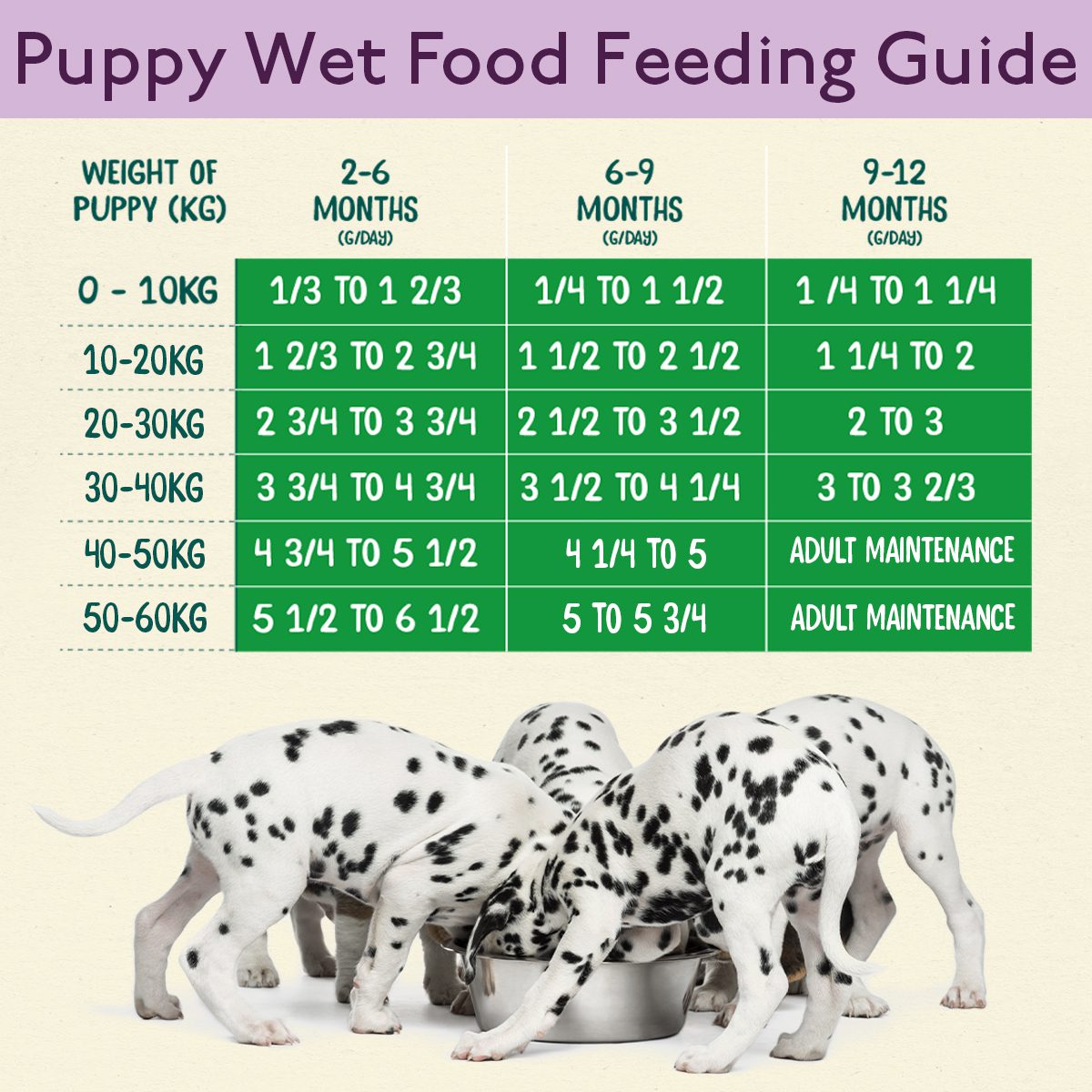 wainwright's wet puppy food feeding guide